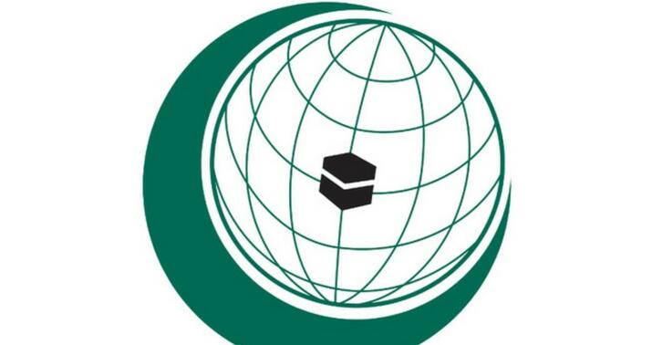 İƏT dünya ictimaiyyətini İrəvana qarşı səmərəli tədbirlər görməyə çağırdı