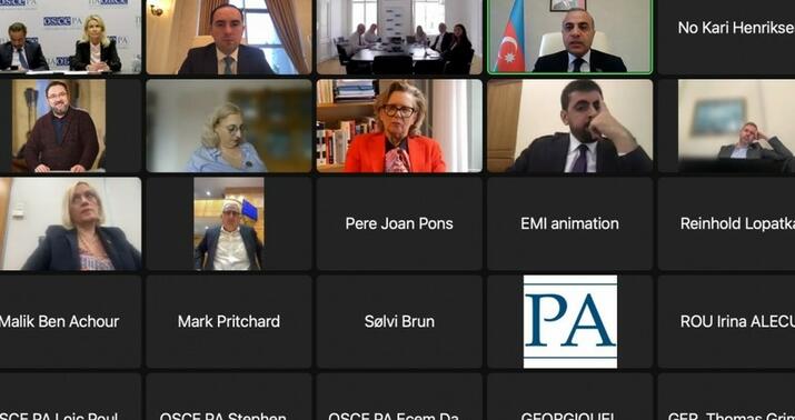 ATƏT PA-da Azərbaycan əleyhinə olan təşəbbüslərin qarşısı alındı