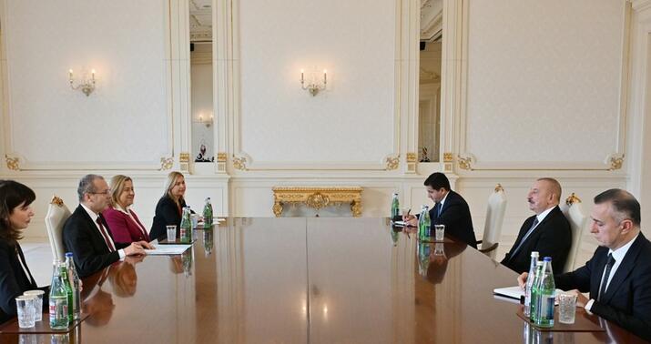 Prezident ÜST-ün Avropa üzrə regional direktorunu qəbul etdi -