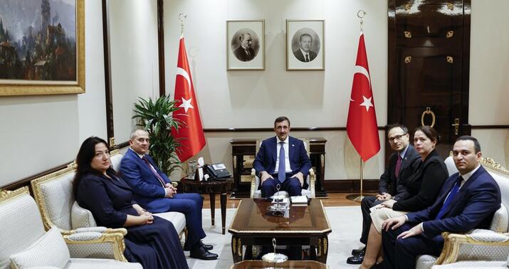 Ərdoğanın köməkçisi YAP nümayəndə heyətini qəbul etdi
