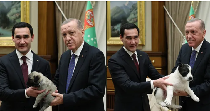 Ərdoğanla Berdiməhəmmədov bir-birinə it hədiyyə etdi