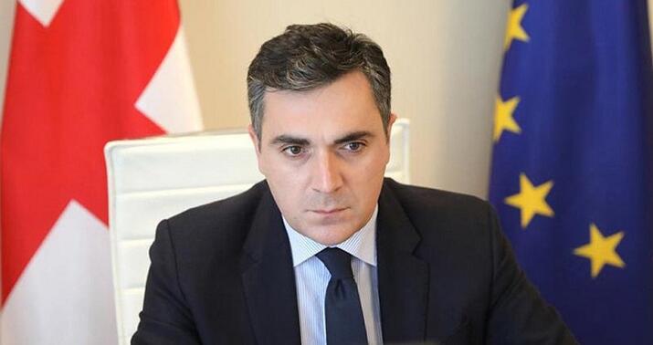 Gürcüstandan Fransa silahları ilə bağlı açıqlama: