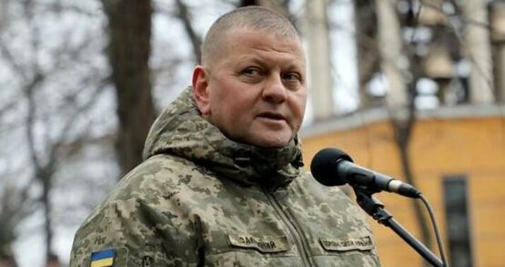 General Zalujnı Zelenski üçün problemə çevrilib -