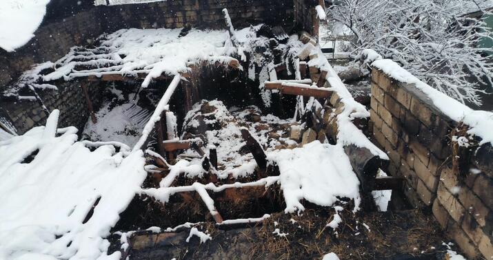 Göyçayda mal-qara dolu tövləni yandırdılar –