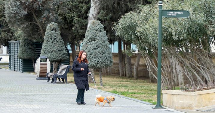 Hava ilə bağlı -