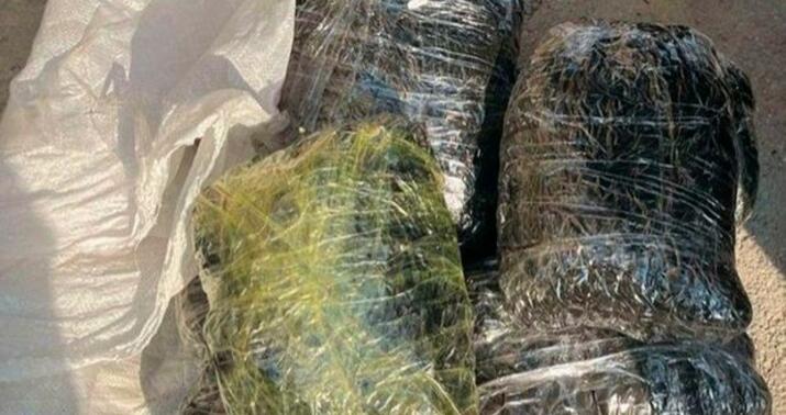 Bakıda yaşayış binasının zirzəmisində narkotik tapıldı