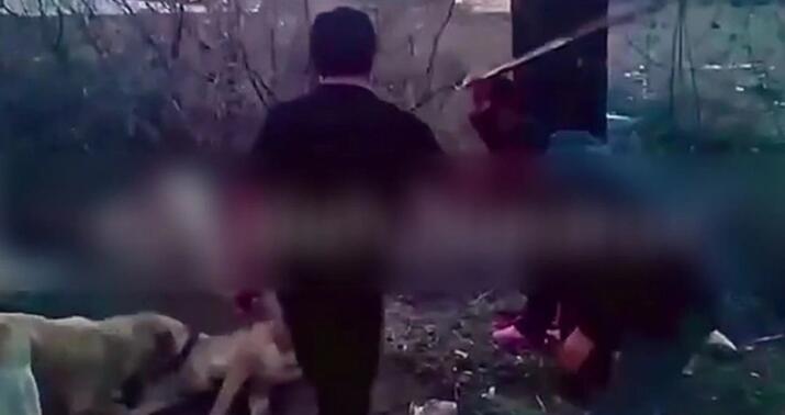 Naxçıvanda itlərə işgəncə verənlər saxlanıldı