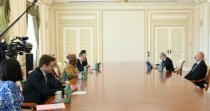 Prezident Ümumdünya Ticarət Təşkilatının baş direktorunu qəbul etdi -