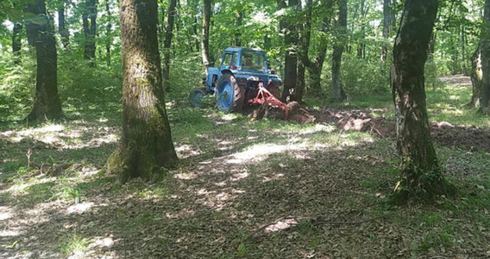 Hirkan Milli Parkında yanğın təhlükəsizliyi müzakirə olundu -