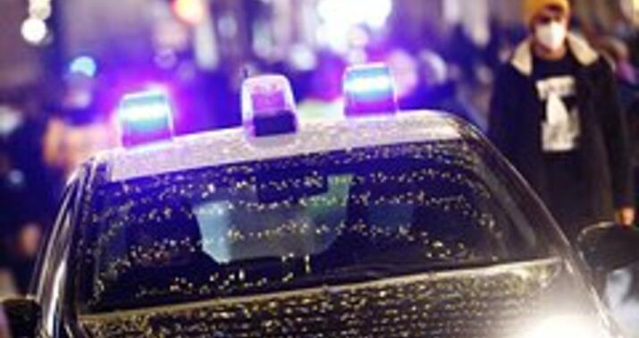 İtaliya polisi rus milyarderin qəsrinə həbs qoydu