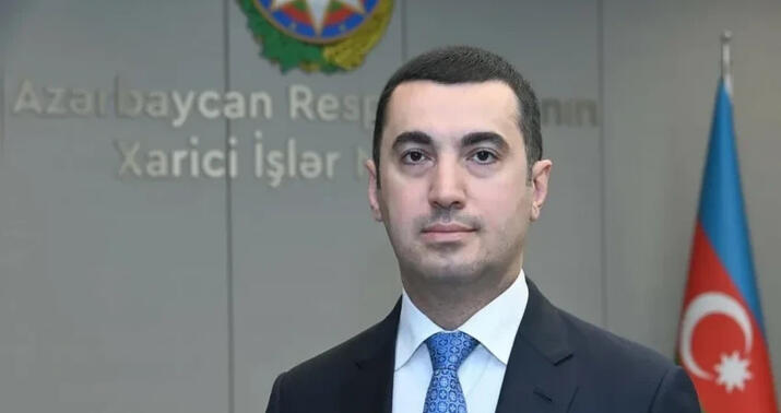 "Şvabenin fikirləri onun ikiüzlü siyasətçi olduğunu göstərir" -