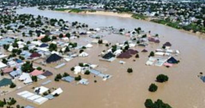 Sel timsah və ilanları küçələrə doldurdu