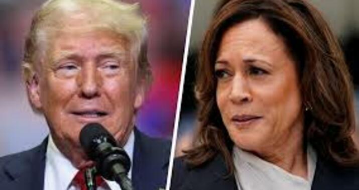 Trampdan Harrisin təklifinə reaksiya -