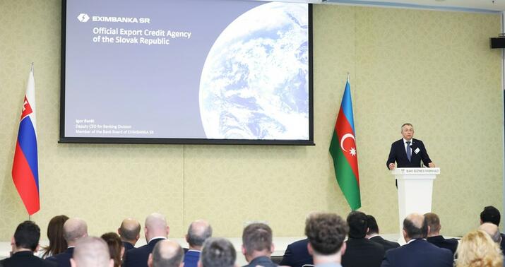 Azərbaycan-Slovakiya biznes forumu keçirildi