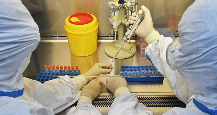 Hollandiyada təhlükəli virus -