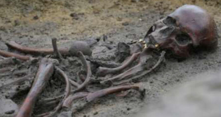 Danimarkanın Aasum kəndində 50 vikinqin qalığı tapıldı