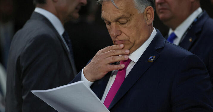 Orban Gürcüstanda fitə basıldı