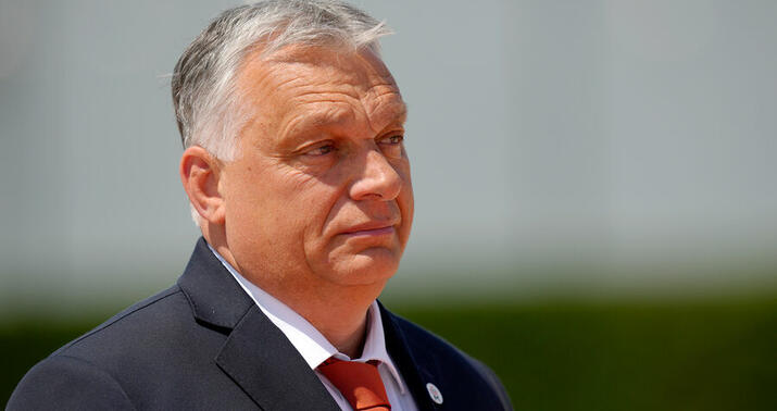 Orban Gürcüstana gəldi