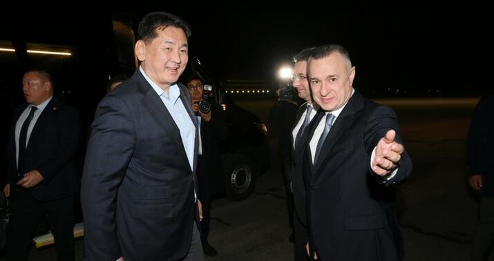 COP29-a gələnlər -