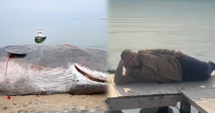 Ceyhunun həmin balina ilə bağlı gülməli -