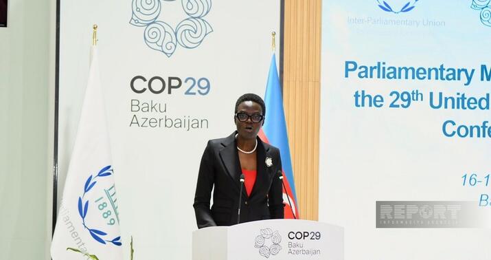 COP29-da etiraf etməliyik ki, təxminən 733 milyon insan... - Tuliya Ekson