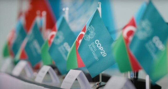 Bakıda COP29 çərçivəsində Parlament Görüşü keçirildi