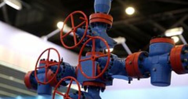 Bu qış Avstriya üçün çox çətin keçəcək  -