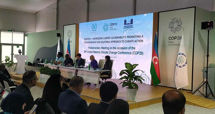 Bakıda COP29 çərçivəsində keçirilən Parlament Görüşündə yekun sənəd qəbul olundu -