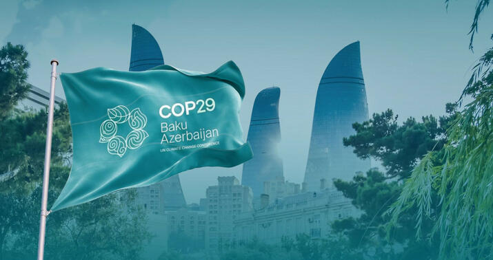 COP29-da qeydiyyatdan keçənlərin sayı açıqlandı