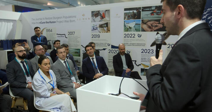 COP29 çərçivəsində körpə balıqlar suya buraxıldı