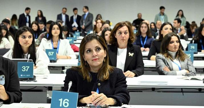 “İqlim üçün mədəniyyət" mövzusunda panel sessiyası keçirildi