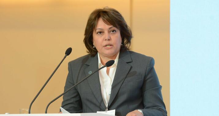 "Heç bir ölkə bu problemləri təkbaşına həll edə bilməz" -