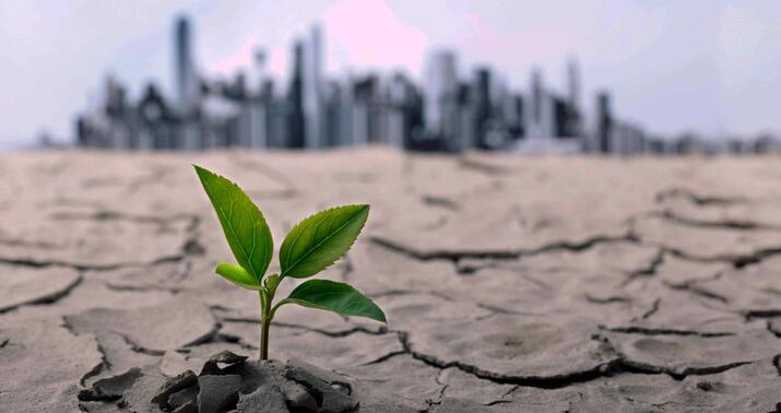 Bu ölkə iqlim siyasəti yarışında ABŞ və Aİ-ni qabaqladı -