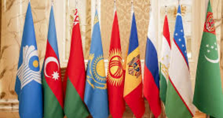 MDB ölkələri Vyanda toplandı -