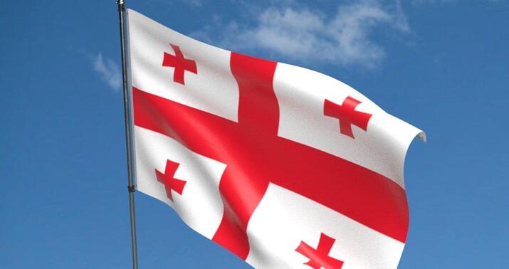 Gürcüstanın keçmiş müdafiə naziri həbs edildi