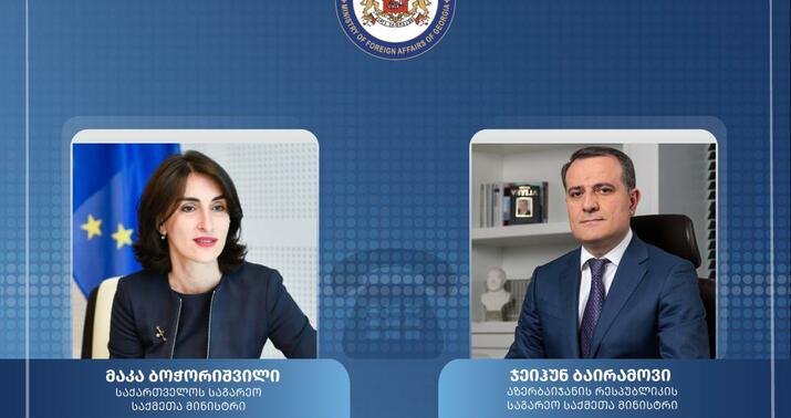 Gürcüstanın XİN başçısı Azərbaycana təşəkkür etdi