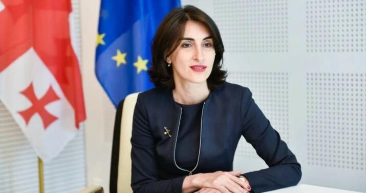 Gürcüstanın XİN başçısı Macarıstana getdi