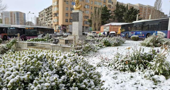 Bakıda ilk qarla təmas... - Foto