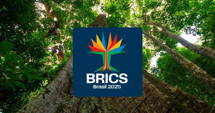 "BRİKS"-in yeni loqosu təqdim edildi