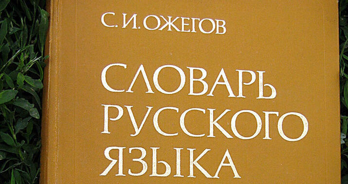 Ukraynada rus və belarus dilləri ilə bağlı qanun qəbul edildi