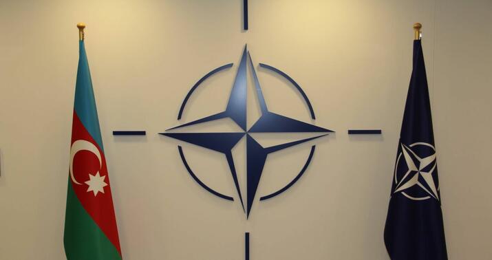NATO təyyarə qəzasını hərtərəfli araşdırmağa çağırdı