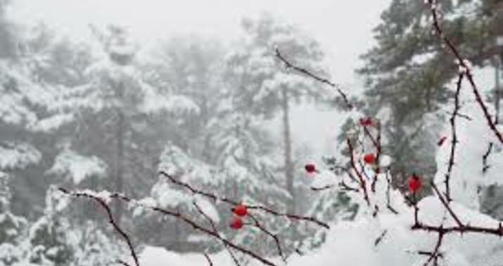 Qaxa qar yağır -