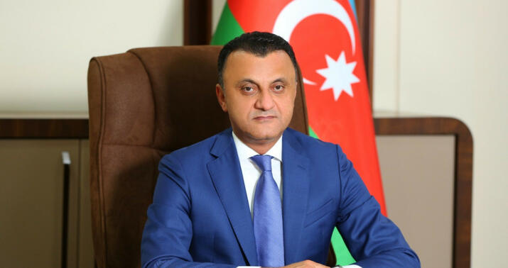 TƏBİB-in icraçı direktoru təyyarə qəzasında yaralanan şəxslər barədə danışdı