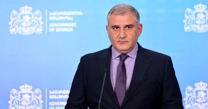 Gürcü nazir Bolnisi insidentinə münasibət bildirdi