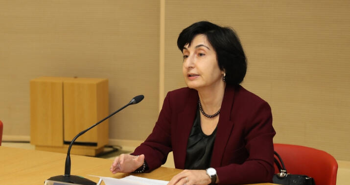 Fransa Minsk Qrupunda vasitəçi kimi çox uğursuz oldu - Gülşən Paşayeva 