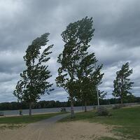 Küləkli hava şəraiti ilə bağlı sarı xəbərdarlıq verilib