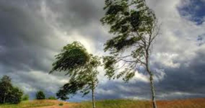 Yaxın günlərdə güclü külək davam edəcək -