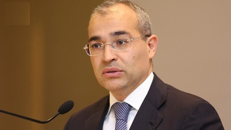 Nazir: "Əmək münasibətlərinin leqallaşdırılması istiqamətində ciddi irəliləyiş olub"