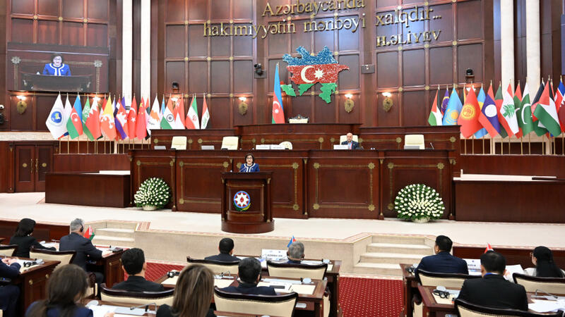 Asiya Parlament Assambleyasının komitəsində 15 qətnamə layihəsi təsdiqləndi