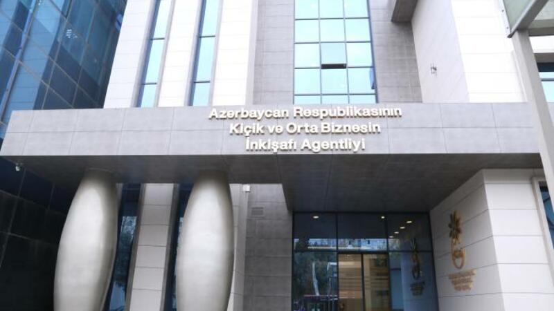 Azərbaycanda sahibkarların 23%-ə yaxını qadındır